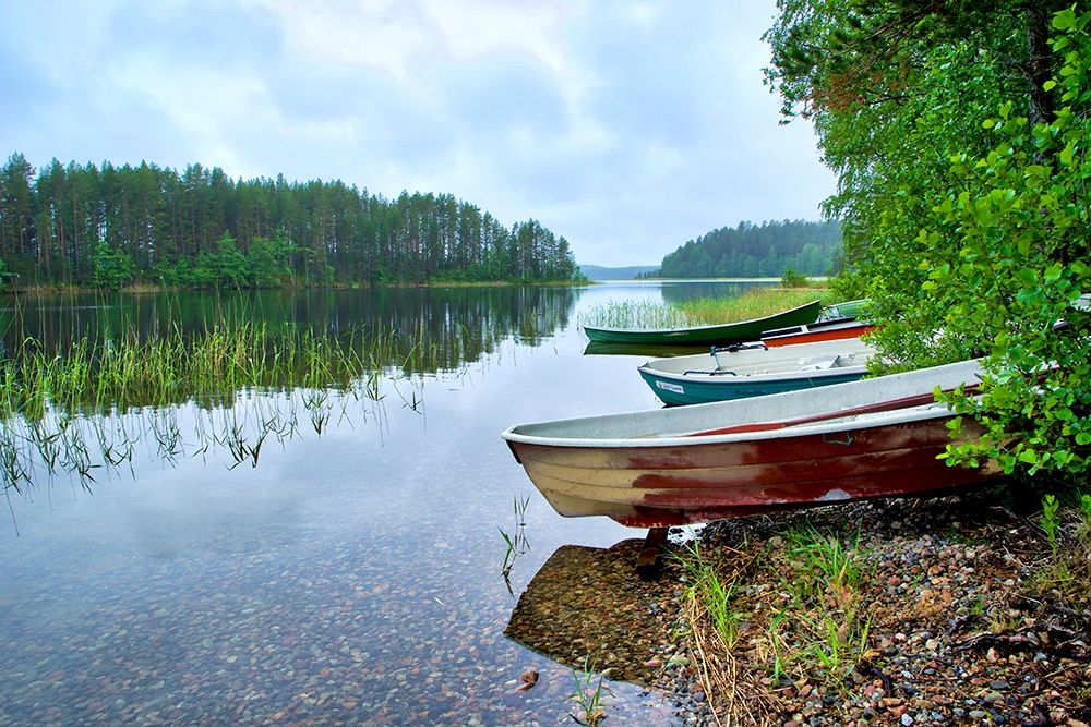 Finlandia-Savonlinna-lake bank and vegetation art print by Michele Molinari for $57.95 CAD
